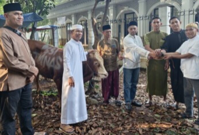 Timnas Sumbang Hewan Kurban Seekor Sapi Limosin