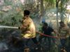 BPBD Aceh Besar Bergerak Cepat, Padamkan Kebakaran Lahan Pinus di Saree