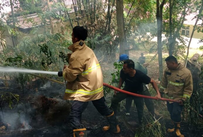 BPBD Aceh Besar Bergerak Cepat, Padamkan Kebakaran Lahan Pinus di Saree