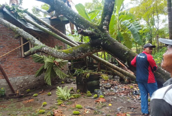 BPBD Aceh Besar Catat 17 Bangunan Rusak Akibat Angin Kencang