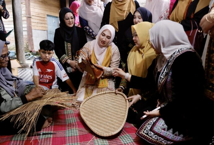 Ketua Dekranas Aceh: Inovasi Penting untuk Bersaing di tingkat Global