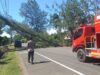 Angin Kencang Landa Aceh Besar, Kalaksa BPBD Himbau Warga Tetap Waspada