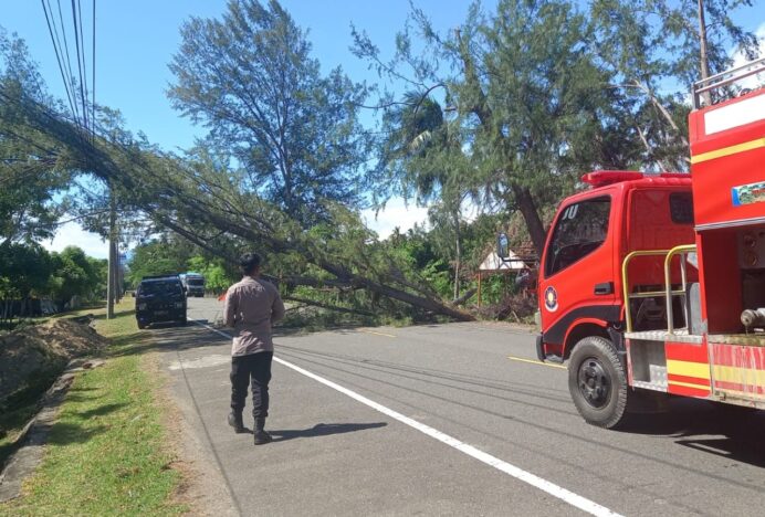 Angin Kencang Landa Aceh Besar, Kalaksa BPBD Himbau Warga Tetap Waspada