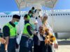 Kloter 8 Tiba di Tanah Air, 389 Jemaah Haji Aceh Mendarat di Bandara SIM