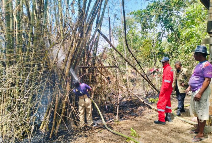 Cuaca Panas, BPBD Aceh Besar Imbau Masyarakat Waspada Kebakaran