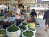 Harga Cabai Merah Bertahan di Rp 85 Ribu per Kilogram