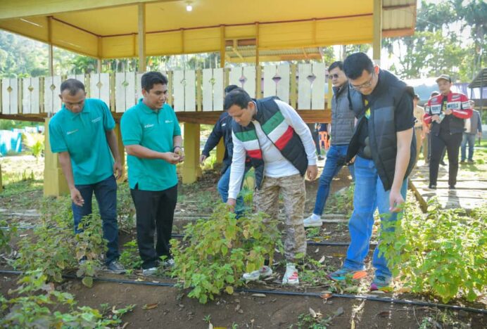 Touring Gunakan Sepmor, Wagub Kunjungi Lokasi Budidaya Nilam di Lhoong