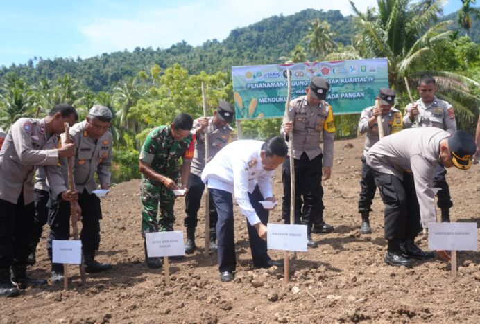 Sabang Dukung Swasembada Pangan Lewat Penanaman Jagung Serentak
