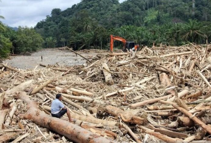Kemenhut Bongkar Dugaan Pembalakan di Area Banjir