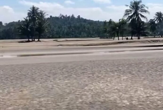 8.000 Hektare Sawah Hancur, Bupati Aceh Tamiang Minta Bantuan Sembako Enam Bulan