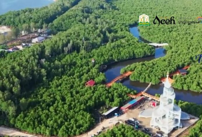 Hutan Mangrove Langsa Jadi Ikon Destinasi Wisata Bahari