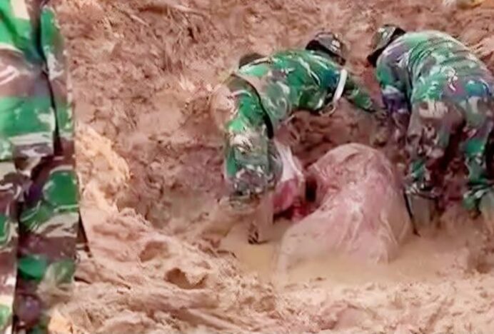 Korban Tewas Banjir dan Longsor Sumatra Capai 1.006 Orang, Terbanyak di Aceh, 415 Orang