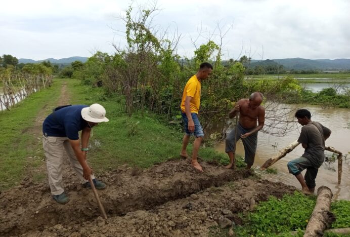 Hadapi Cuaca Ekstrim, Petani Darussalam Aceh Besar Mulai Tanam Akhir Januari 2026