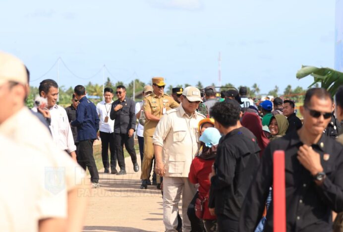 PSN Dorong Kemandirian Pangan dan Ekonomi Lokal Papua Pegunungan