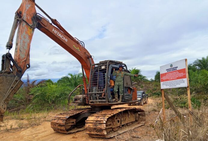 Penertiban Tambang dan Sawit Ilegal Diproyeksikan Tambah Rp142 Triliun Penerimaan Negara