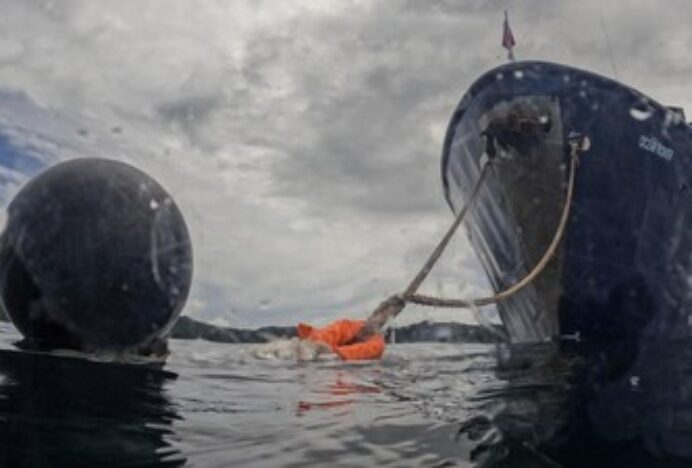 Kapal Wisata Kandas di Raja Ampat, Pemerintah Bentuk Tim Investigasi