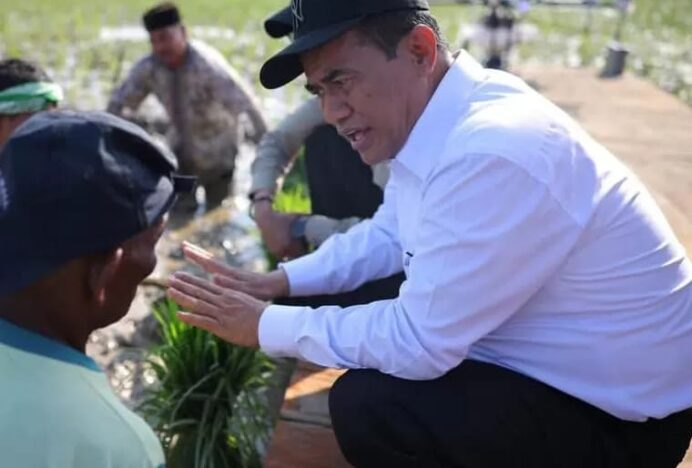 Pemerintah Gaji Petani Pulihkan Sawah Terdampak Bencana