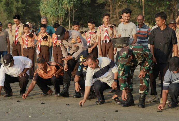 Lembaga Konservasi Penyu Lhoong Lepas 90 Tukik di Pantai Blang Mee