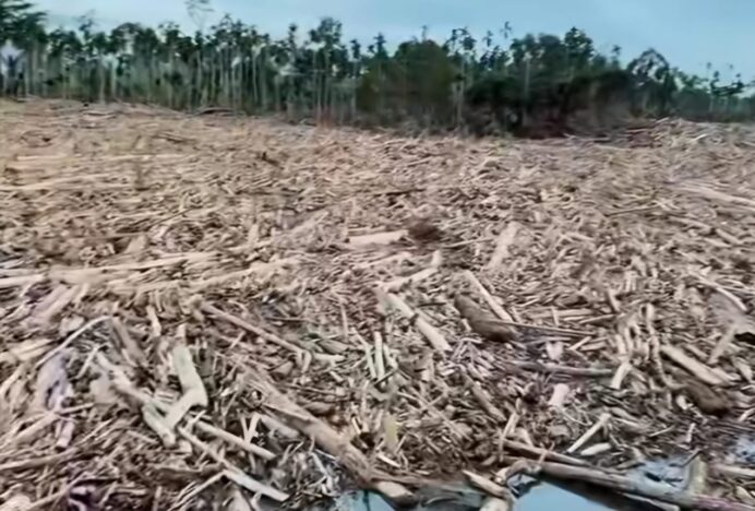 12 Perusahaan Penyebab Bencana Sumatera Akan Dicabut Izin dan Proses Pidana