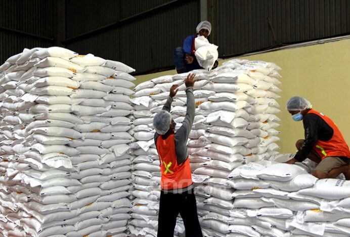 Serap 4 Juta Ton, Pemerintah Perkuat Fondasi Swasembada Pangan Berkelanjutan