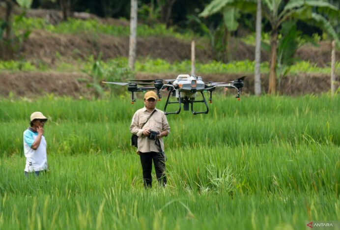 Teknologi Pertanian Berkelanjutan Dukung Penguatan Swasembada Pangan