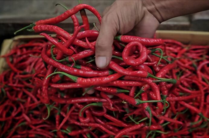 Harga Cabai-Bawang Melonjak, Pasokan di Pasar Induk Anjlok 50 Persen
