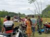 Babinsa Koramil 04/Lhoong Jalin Keakraban dan Kepedulian Bersama Warga Saat Panen Padi