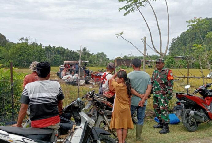Babinsa Koramil 04/Lhoong Jalin Keakraban dan Kepedulian Bersama Warga Saat Panen Padi