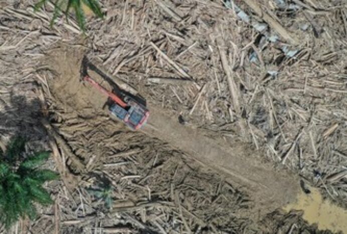 39.687 Hektar Tutupan Hutan di Aceh Hilang Selama 2025, Ini Dampaknya