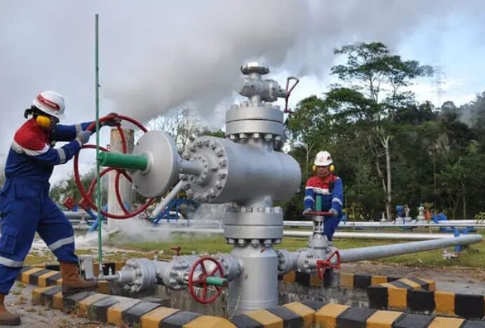 Presiden Prabowo Tegaskan Ketahanan Energi sebagai Prioritas Strategis Pembangunan Nasional