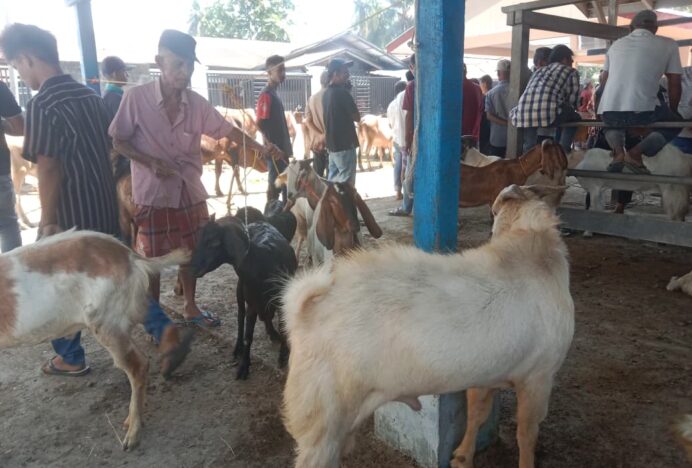 Pasar Hewan Sibreh Penjaga Inflasi Daerah