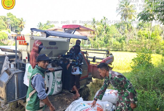 Dukung Ketahanan Pangan Keluarga, Babinsa Kuta Malaka Komsos Bersama Warga