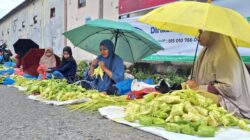 Pedagang Daun Ketupat Musiman Ramai Jelang Idul Fitri di Aceh Besar