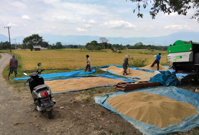 Optimalkan Sawah Tadah Hujan, Petani Maheng Aceh Besar Dukung Swasembada Pangan