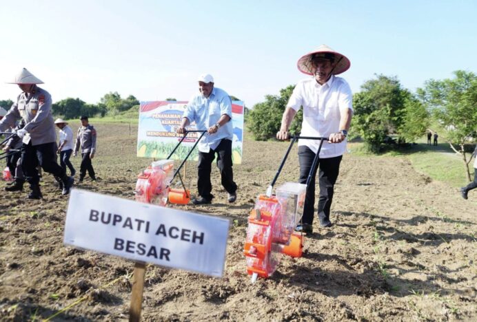 Dukung Swasembada Pangan, Wabup Syukri Tanam Jagung Bareng Kapolda Aceh