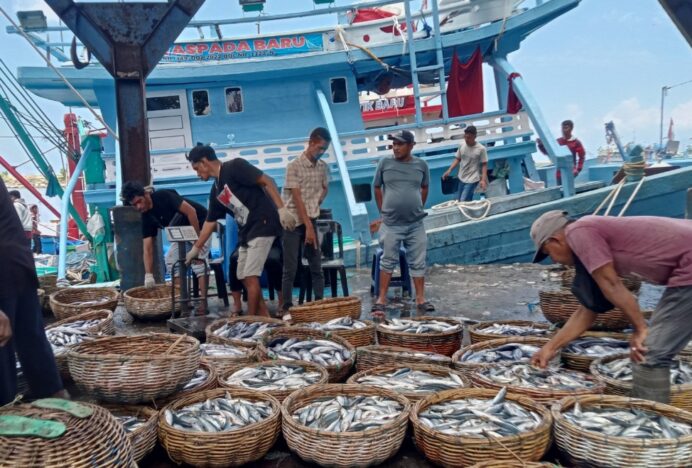 Dencis Melimpah, Jerebok Langka, Ini Harga Berbagai Jenis Ikan di Banda Aceh
