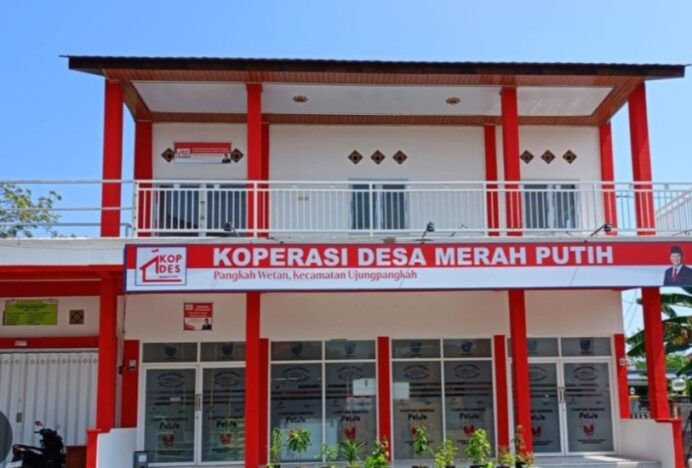 Koperasi Desa Perkuat Ekonomi Lokal, Keuntungan Kembali ke Desa