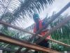 BPBD Aceh Barat Perbaiki Rumah Warga yang Rusak Akibat Angin Kencang