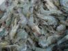 Proyek Tambak Raksasa Dikebut, Produksi Udang RI Bakal Tumpah Ruah