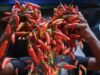 PIHPS Catat Harga Cabai Rawit Naik, Kini Rp 85.200 Per Kg