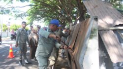 Satpol PP dan WH Aceh Besar Kembali Bongkar Bangunan Liar di Baitussalam