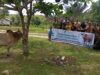 PT Bintang Toejoeh Serahkan Sapi Kurban untuk Dayah Wakaf Barbate