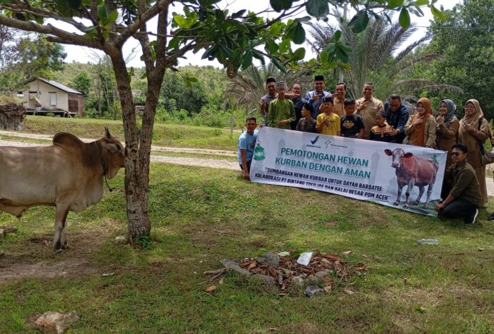 PT Bintang Toejoeh Serahkan Sapi Kurban untuk Dayah Wakaf Barbate