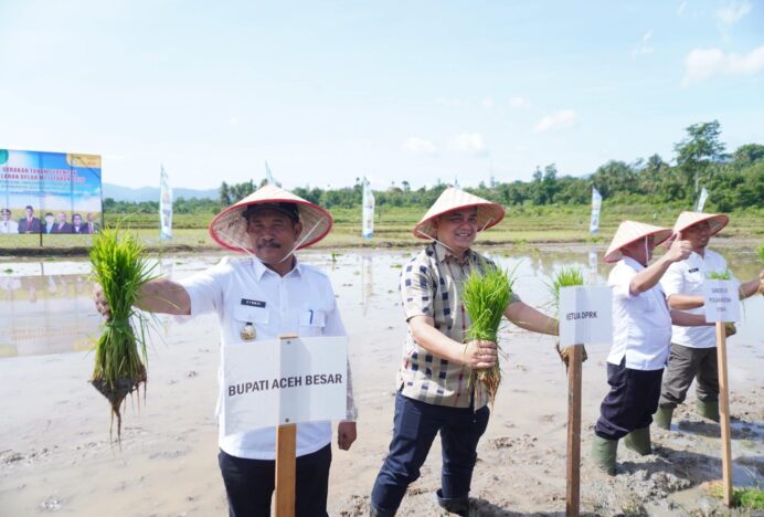 Wabup Aceh Besar dan Pejabat Kementan Tanam Padi Serempak di Gampong Barueh Kota Jantho