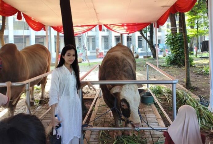 Sapi Prabowo-Gibran di Istiqlal Jadi Primadona, Diajak Foto Bareng Warga
