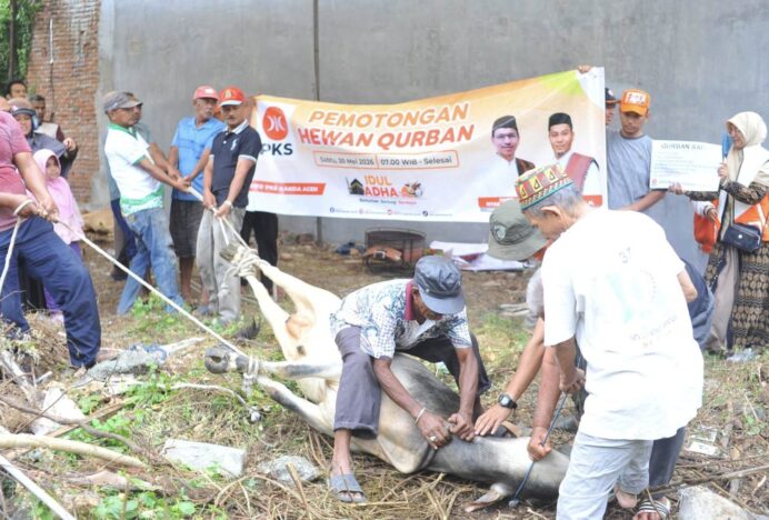 PKS Banda Aceh Sembelih Delapan Hewan Qurban