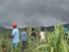 14 Pendaki Selamat dari Erupsi Gunung Dukono, 7 WNI dan 7 WNA