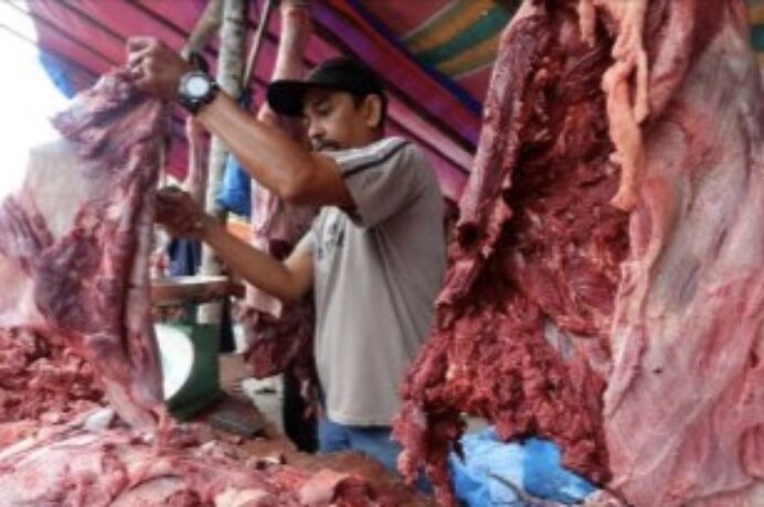 Dampak Ekonomi dan Kurban Tekan Pembelian Sapi saat Meugang Idul Adha 1447 H