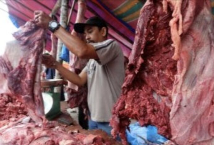Dampak Ekonomi dan Kurban Tekan Pembelian Sapi saat Meugang Idul Adha 1447 H