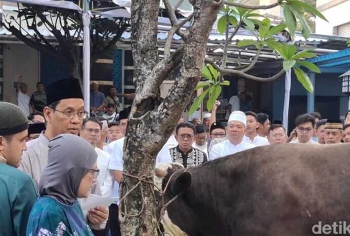 Batal Berangkat Haji, Purbaya Pakai Duitnya buat Beli Sapi Qurban Jumbo